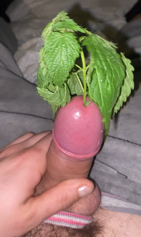 IMG_5755.jpeg - Kubaaannn