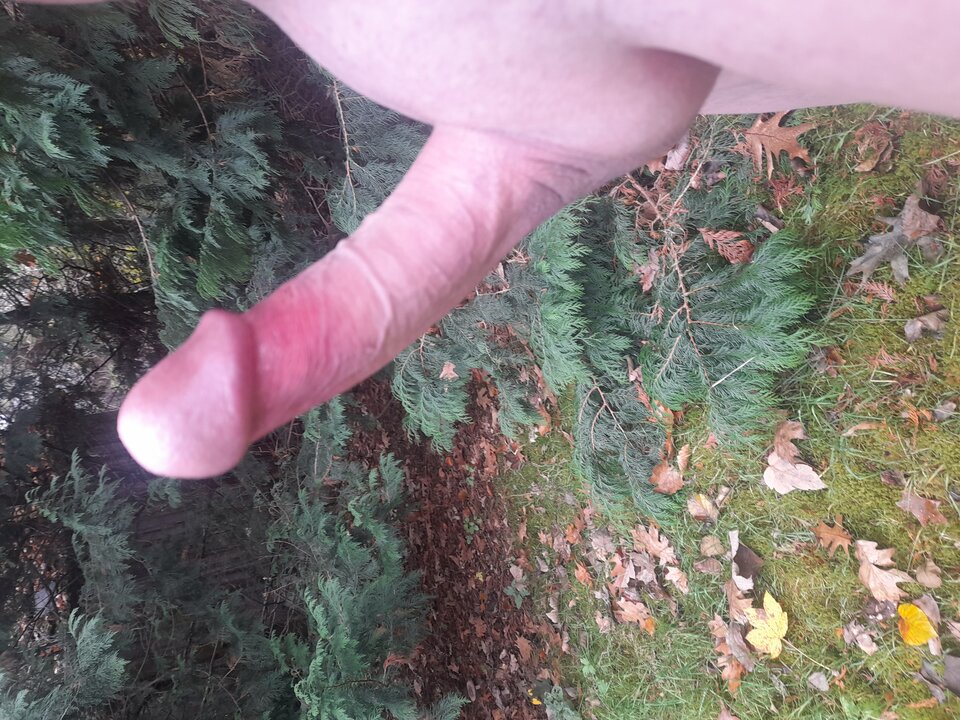 17303769671038484792533397829993.jpg - hej34