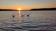 Z kąpiel o zachodzie.jpg