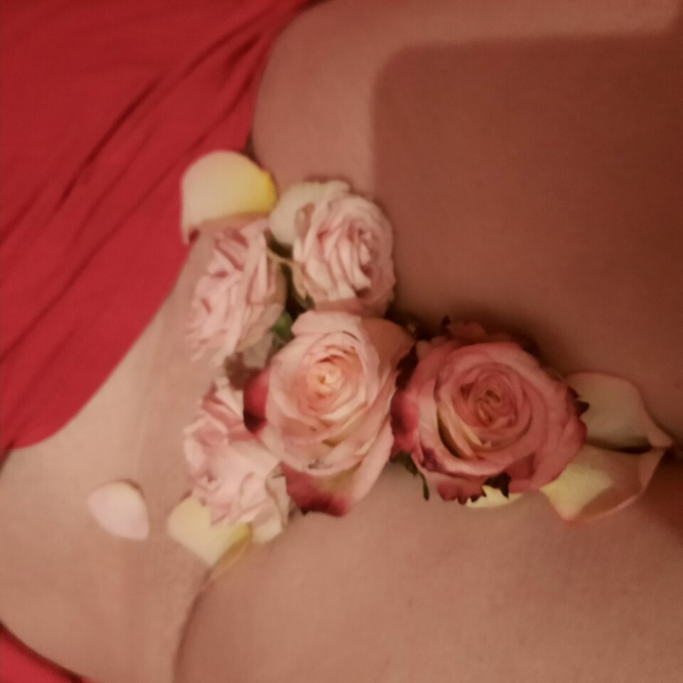 20241020_190858.jpg - zepsuta1975