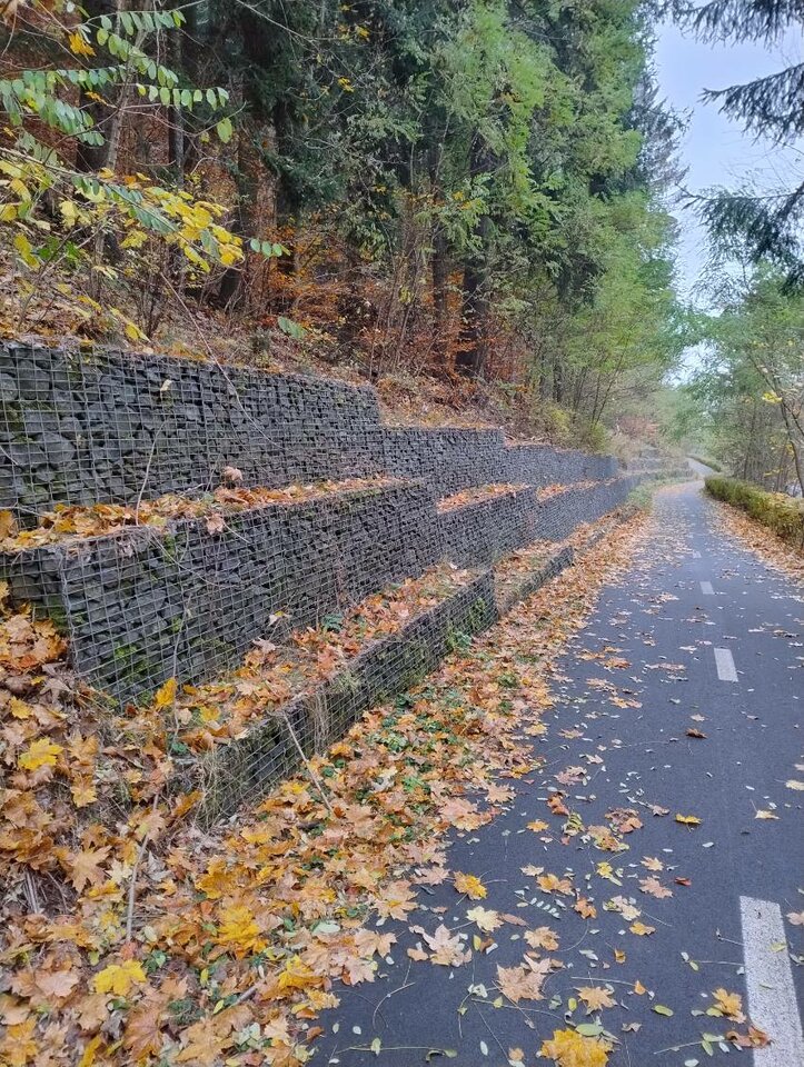 IMG_20241030_112233_01.jpg - RealnyWacek21