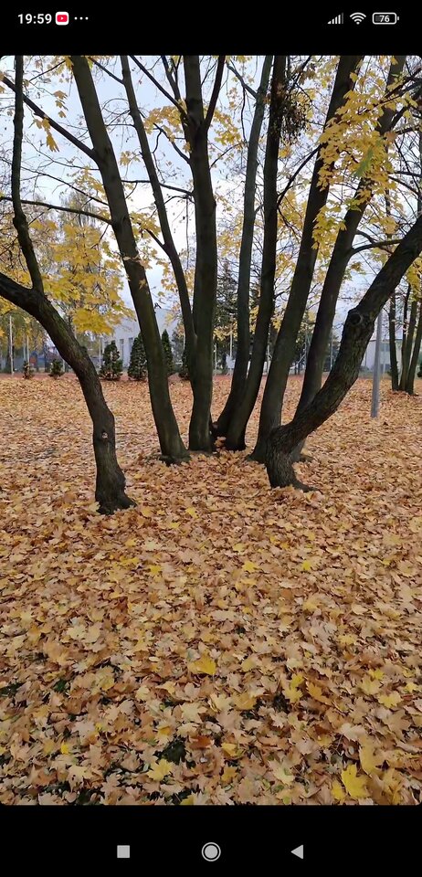 Screenshot_2024-10-29-19-59-08-023_com.instagram.android.jpg - Nicci