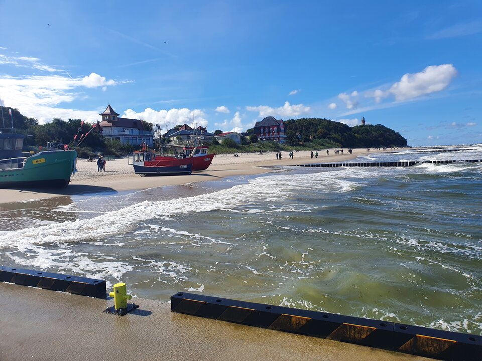 20240914_120858.jpg - Mature44youngbull