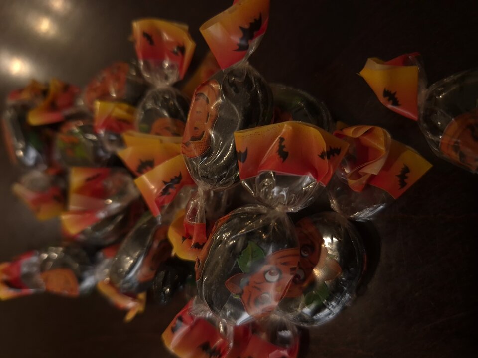 20241031_123907.jpg - BoskiRafaello