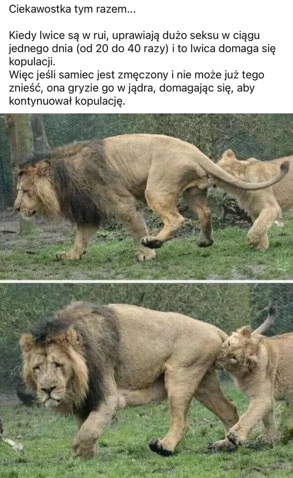 1000001197.jpg - kielce_kielce02