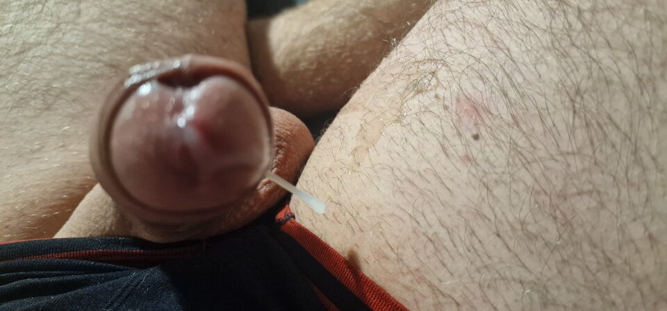 17304928723656887269391190027215.jpg - robin266