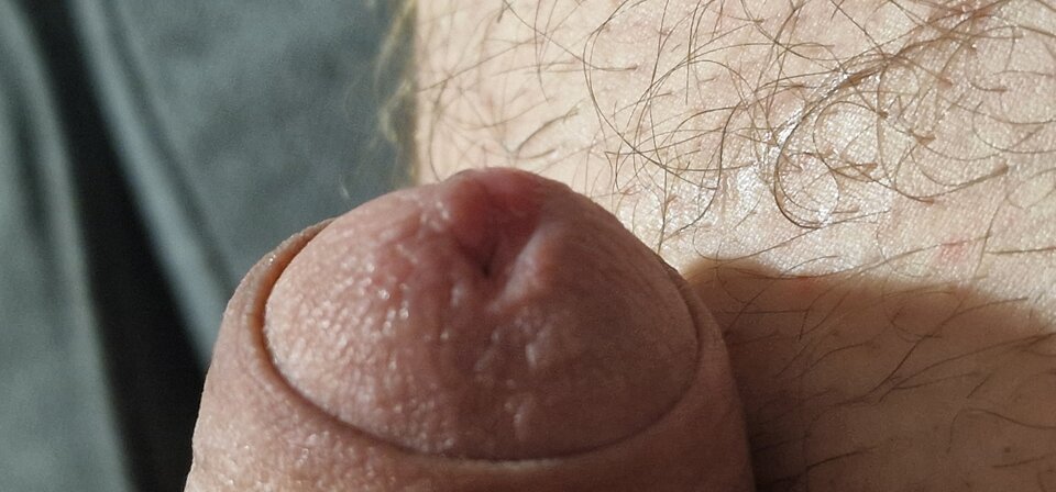 17304939048402197494775943713232.jpg - robin266