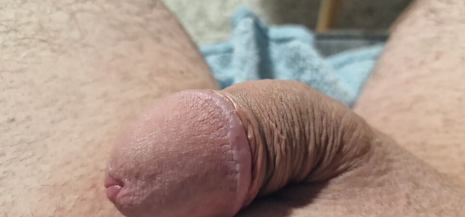 17304962479038172795204334159704.jpg - robin266