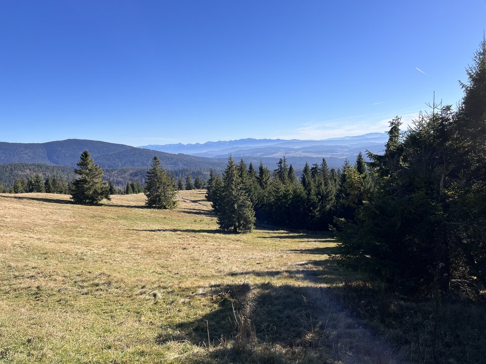 IMG_5323.jpeg - itaes