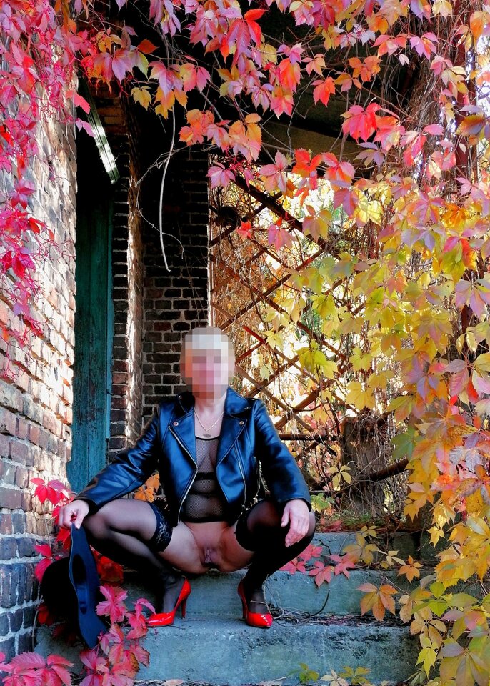 IMG_20241102_080202_edit_114852765728307.jpg - 76Para75