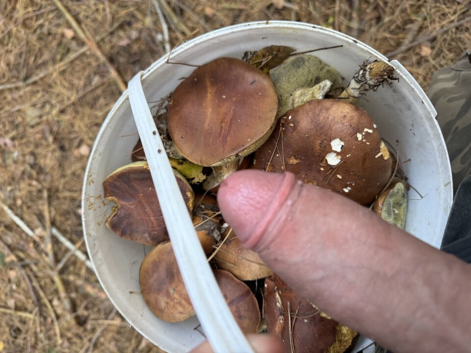 Grzybobranie 😅 - nob3215