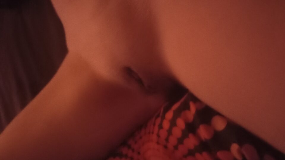 IMG_20241101_192645788.jpg - analogsy2428