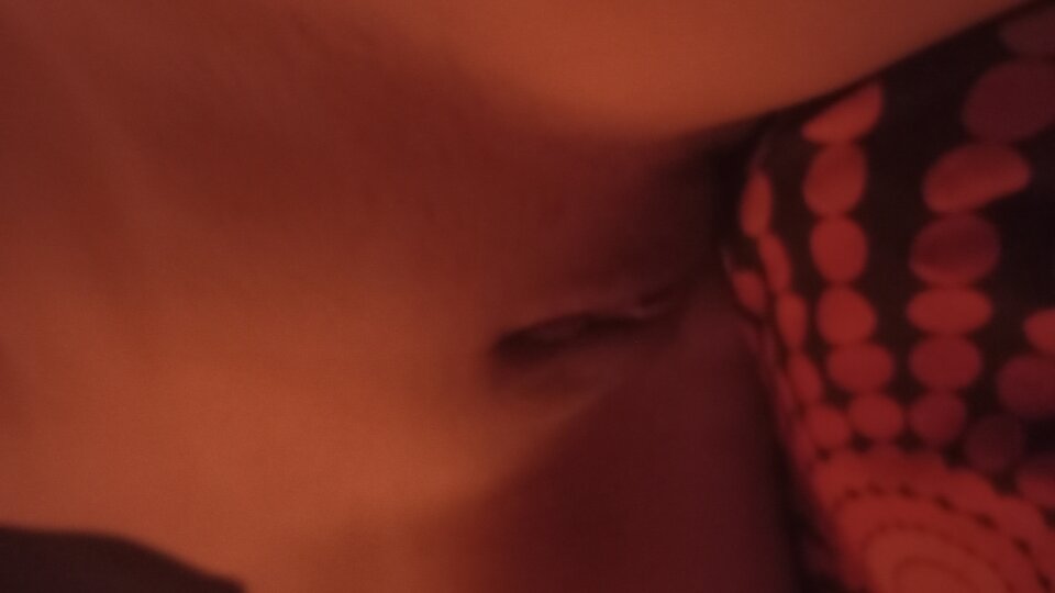 IMG_20241101_192621866.jpg - analogsy2428