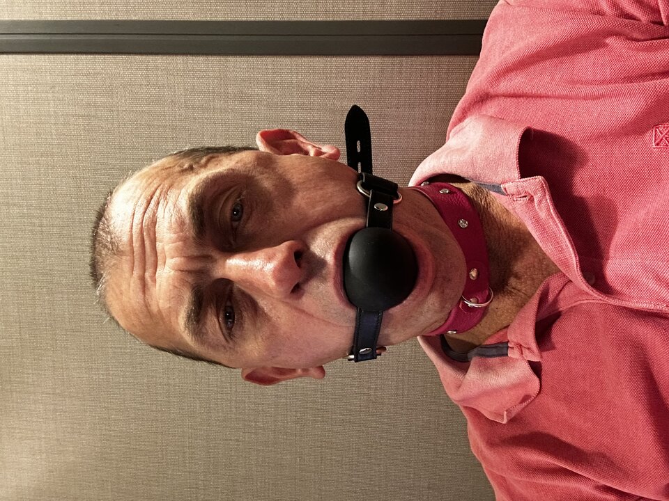 IMG_1115.jpeg - Ppies