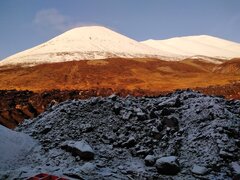 IMG_20191012_152930.jpg
