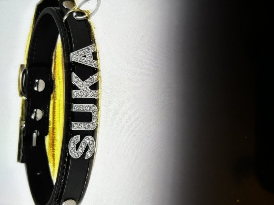 IMG_1119.jpeg - Ppies