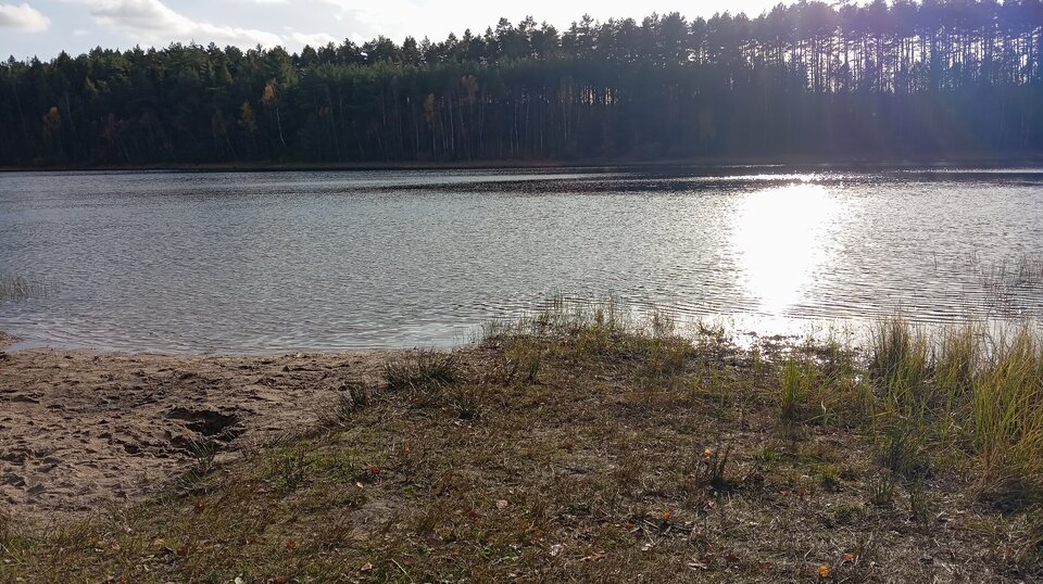 1000010457.jpg - Passion88