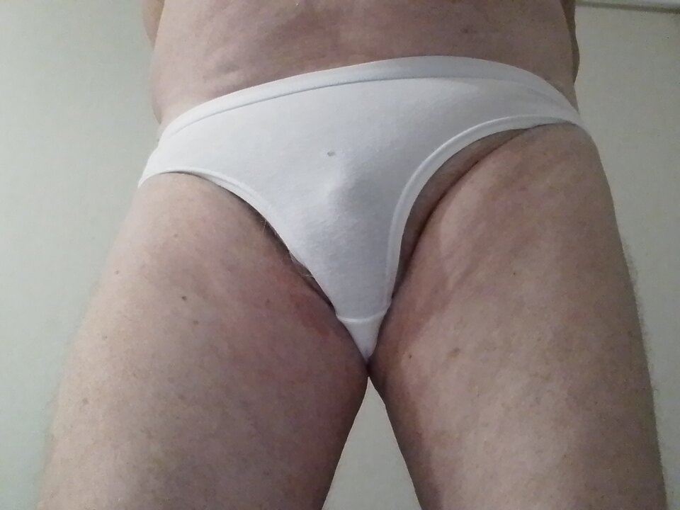 1000002300.jpg - cherubin