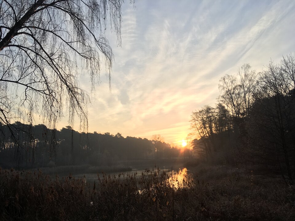 IMG_9093.jpeg - Bear6