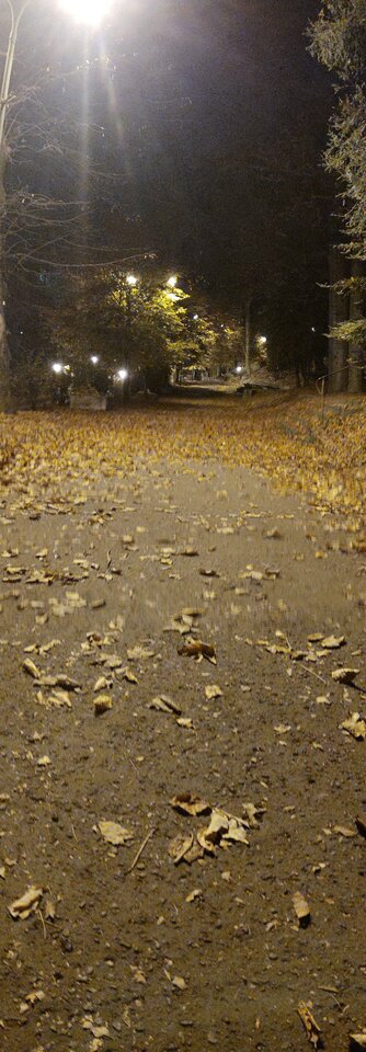 IMG_20241029_193943270.jpg - podhalanie8382