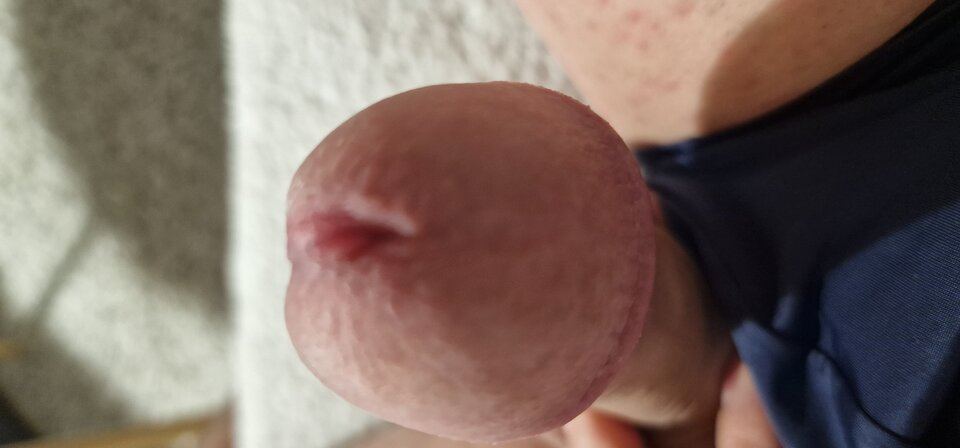 17306932166954360573395421017772.jpg - robin266