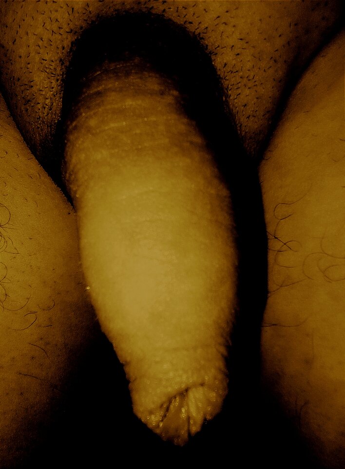 1000043486.jpg - curious44