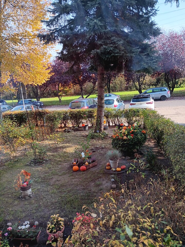 20241027_122019.jpg - WESOLAWDOWKA