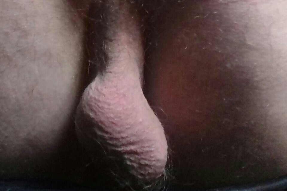 20241104_125235-1-1.jpg - Roma83