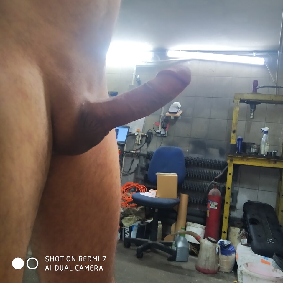 IMG_20241104_134626.jpg - botomi3001