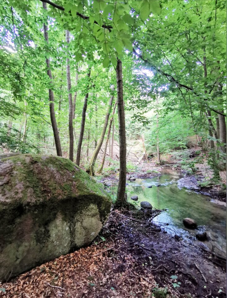 IMG_20201229_201230.jpg - Miniek234