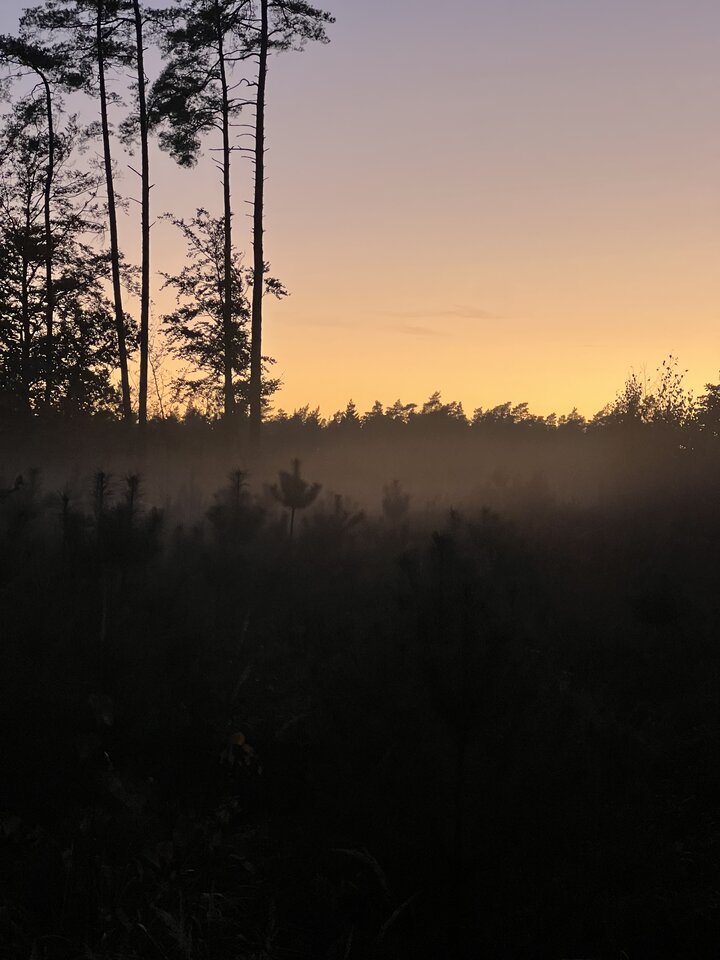 IMG_9969.jpeg - wojtek35