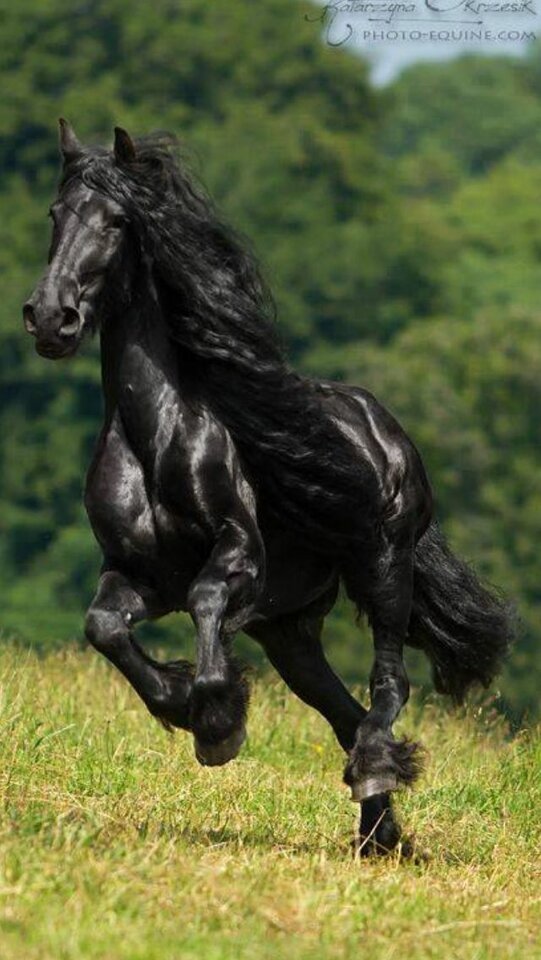 fe6ac60ece6a50948b1ac97310847db8.jpg - Konkret3536