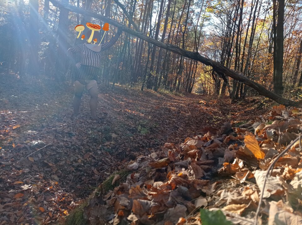 1000044906.jpg - 1983marcello