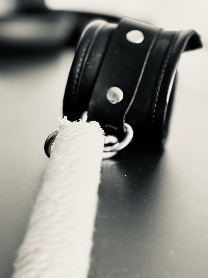 IMG_0956.jpeg - ttldomination