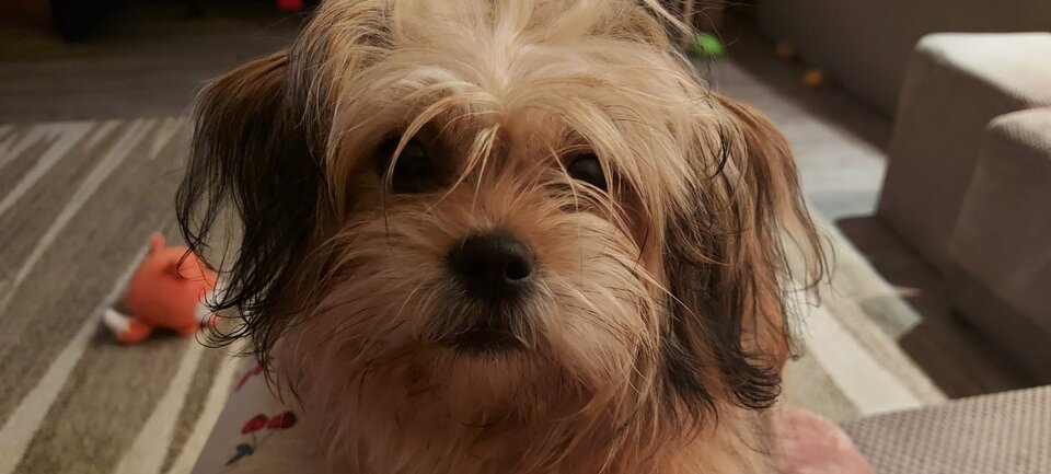 1000001584.jpg - mariuszeck