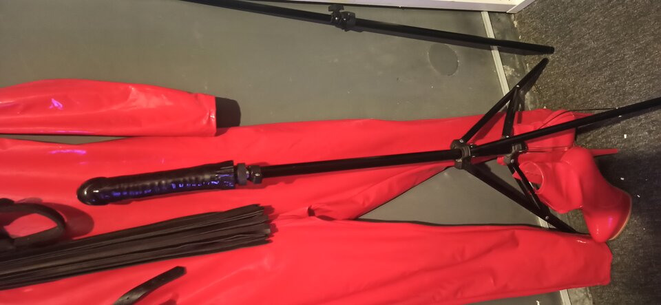 IMG_20241106_095001.jpg - Milanami