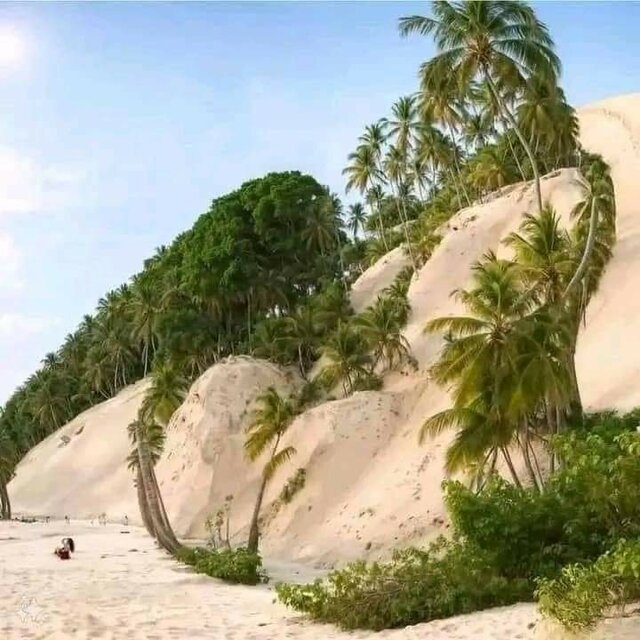 FB_IMG_1731497562579.jpg - Frantisek73