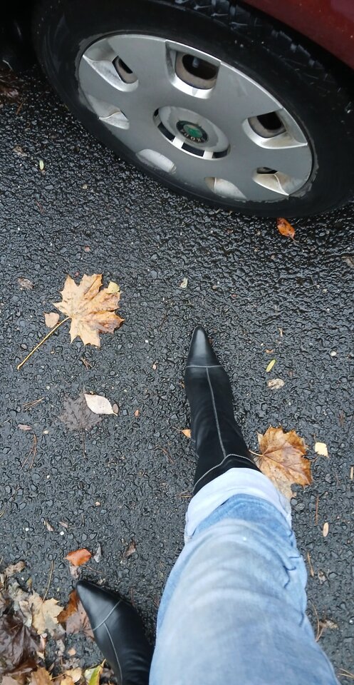 1000004478.jpg - Transpola