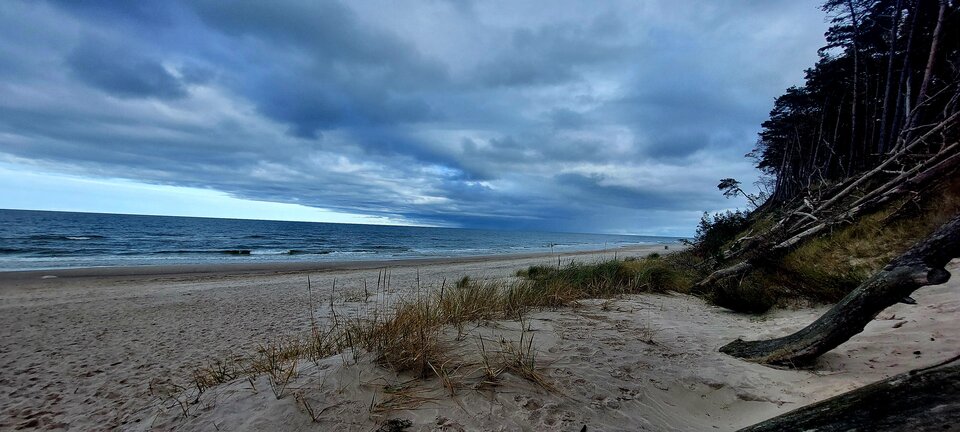 1000050471.jpg - Gregorrr5