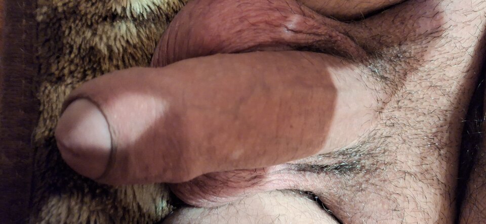 1000009552.jpg - Kocurekimyszka8892