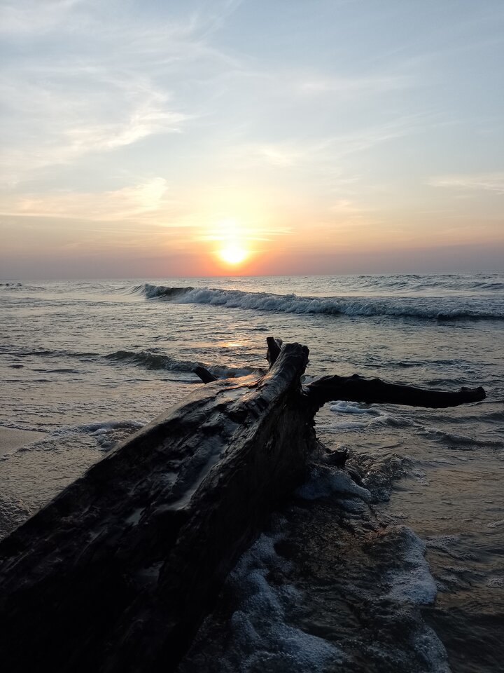 1000033862.jpg - Xxx69xxXXxx