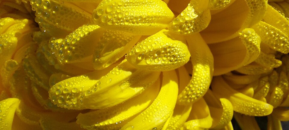 1000020265.jpg - 321boa