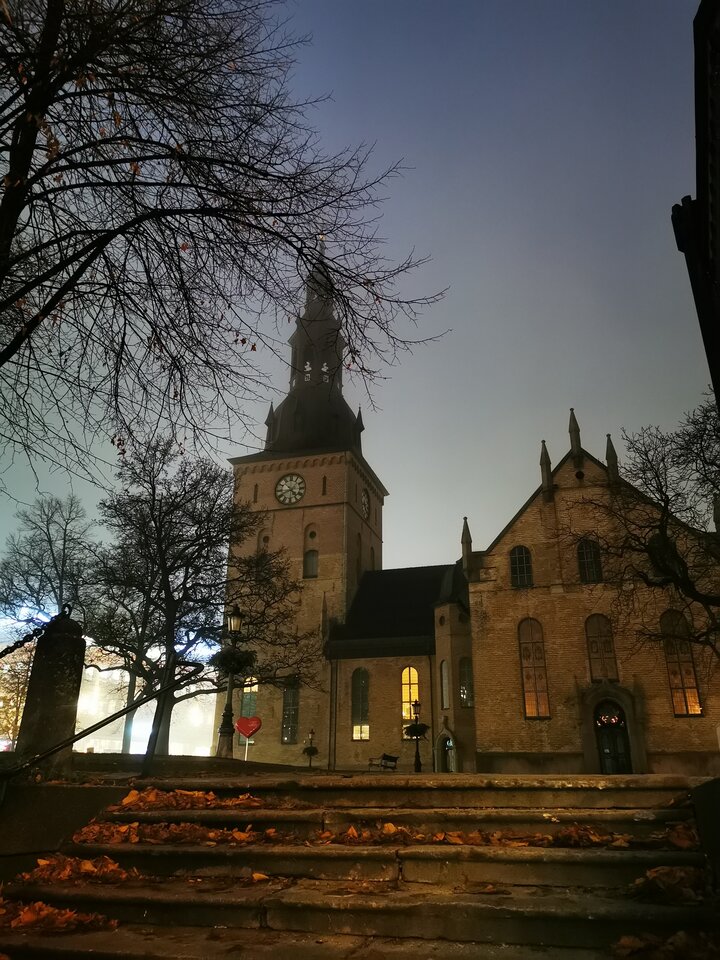 IMG_20241114_164158.jpg - Miniek234