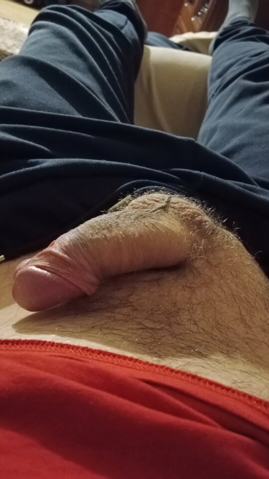 IMG_20241114_192916.jpg - Kutasek2323