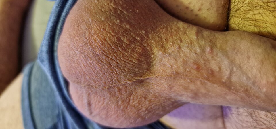 17316113106455459923908313262769.jpg - robin266