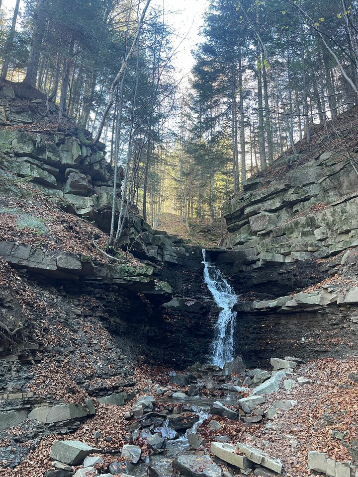 IMG-20241109-WA0004.jpg - Czarodzieje_alfa