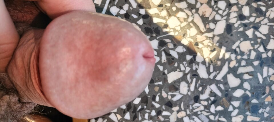 1000024869.jpg - szatan24