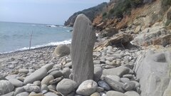 20190807_154358.jpg