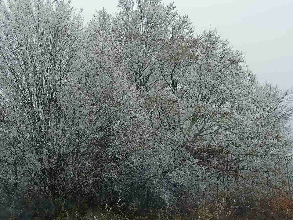 1000009444.jpg - Jeromi