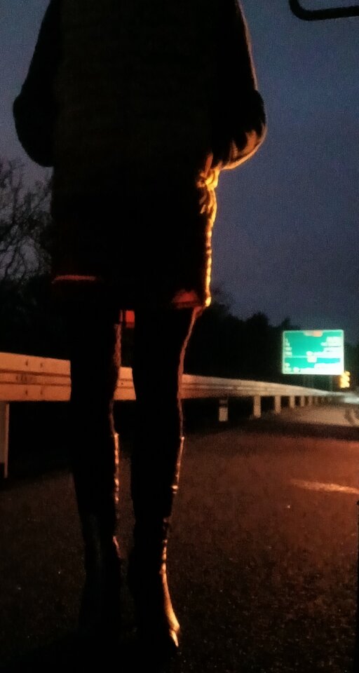 1000004702.jpg - Transpola